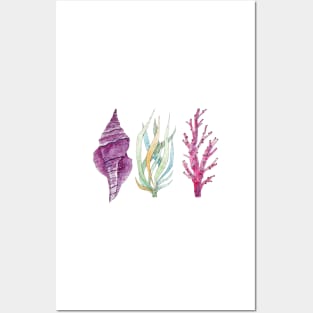 Seaweeds, coral, seashell Posters and Art